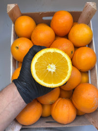 Bio-Siziliansiche Fiorone Orangen