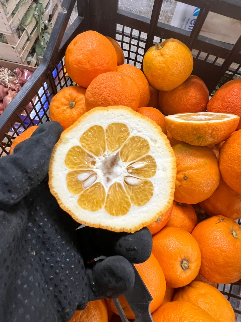 Bio-Sizilianische Bitterorange