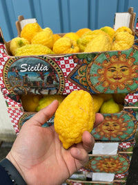 Bio-Sizilianische Cedri Zitronen