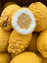 Bio-Sizilianische Cedri Zitronen