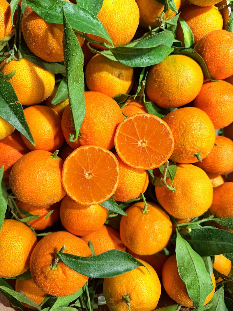 Bio-Sizilianische Clementinen