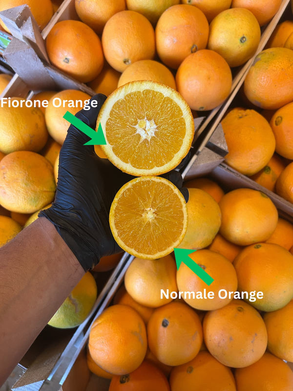 Aufgeschnittene Fiorone im vergleich zu Navelina Orange