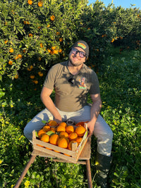 Bio-Sizilianische Navelina Orangen