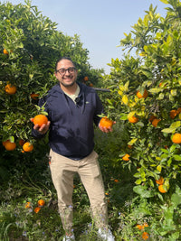 Bio-Sizilianische Navelina Orangen