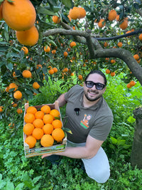 Bio-Siziliansiche Washington Navel Orangen