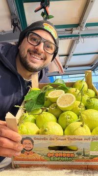 Bio-Sizilianische Zitronen