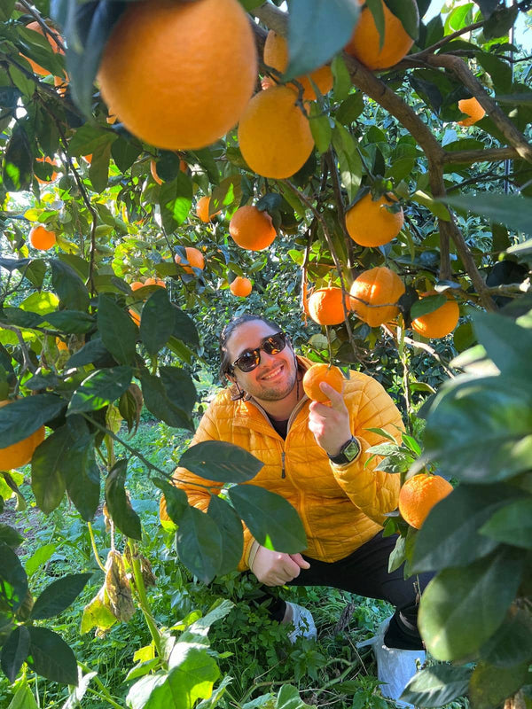 Bio-Siziliansiche Washington Navel Orangen