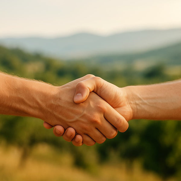 Zwei Hände die sich die Hände schütteln