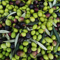 Bio-Sizilianisches Olivenöl