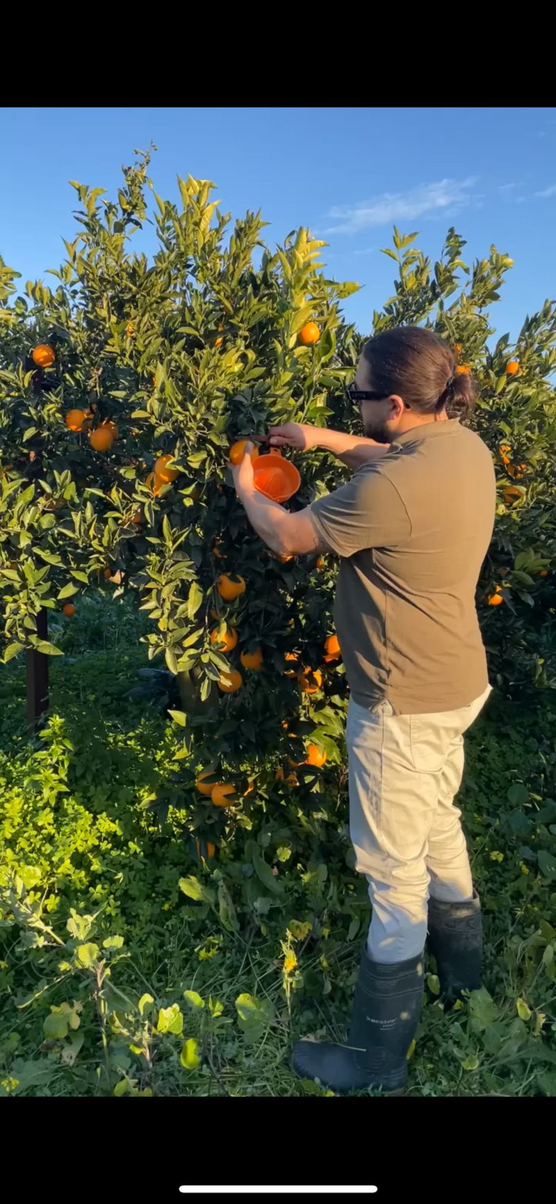 Wir ernten auf Anfrage