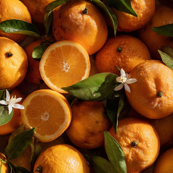 Bio-Sizilianische Vanille Orangen