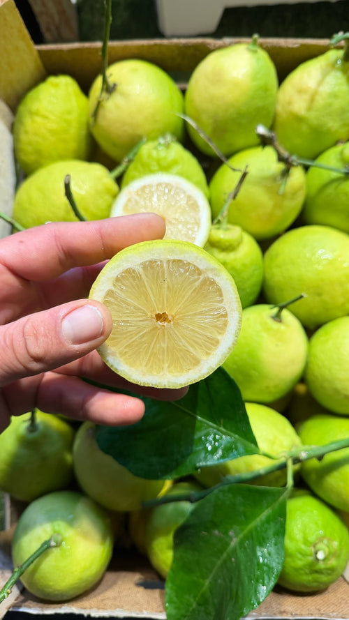 Zitrone aufgeschnitten in der Hand 