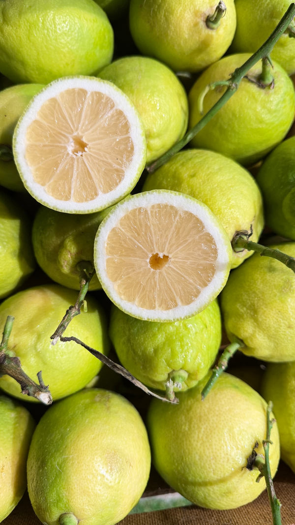 Zitrone aufgeschnitten